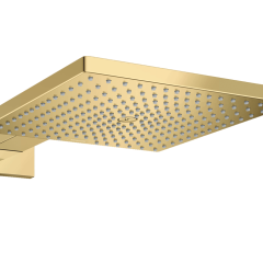 Верхний душ с настенным кронштейном, Raindance E Hansgrohe, 26238990 цвет: золото