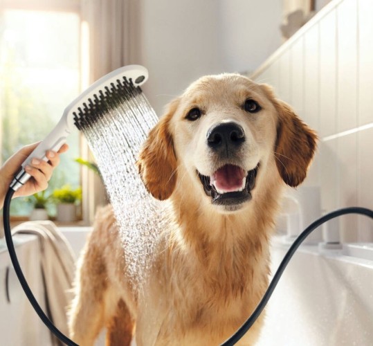 Купить купить душ для собак с массажной струей, dogshower hansgrohe, 26640700 цвет: белый