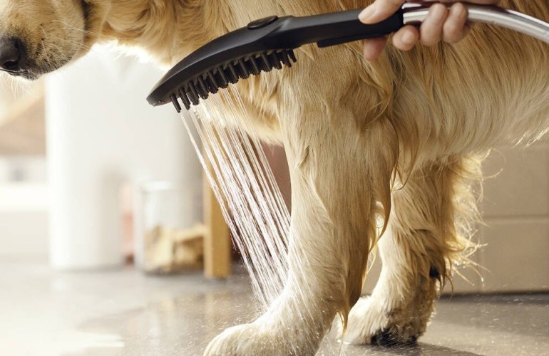 Купить купить душ для собак с массажной струей, dogshower hansgrohe, 26640560 цвет: розовый